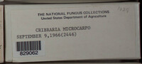 Image Associated With the Occurence